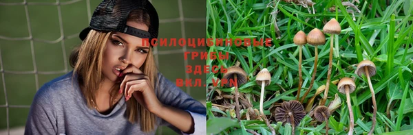 mdma Струнино