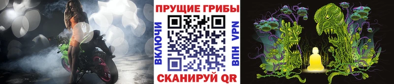 закладка  гидра ССЫЛКА  Галлюциногенные грибы MAGIC MUSHROOMS  Боготол 